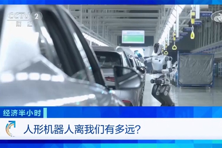 中央电视台《经济半小时》栏目对乐鱼机器人的专题报道